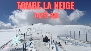 🔴 0086 ▶ TOMBE LA NEIGE  TUYẾT RƠI w Lyrics có lời [upl. by Akinas891]