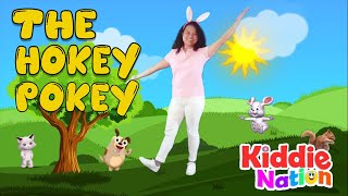 The Hokey Pokey action song with lyrics [upl. by Busiek]