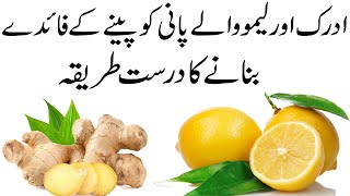 Ginger Lemon Water Benefits in Urdu  Adrak or Nimbu Wale Pani ke Fayde [upl. by Sairacaz]