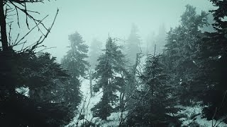 Snowstorm Blizzard Wind Sounds For Sleeping Relaxing  Calm Snow Arctic Howling Winter Ambience [upl. by Etnoed]