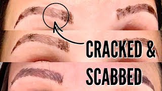 MICROBLADING HEALING PROCESS  THE FIRST 2 WEEKS [upl. by Gnem52]