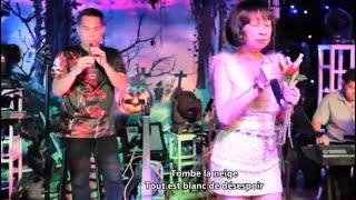 Tombe la neige Salvatore Adamo Bich Thuy cover [upl. by Nnaeiram]