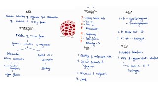 DISSEMINATED INTRAVASCULAR COAGULATIONDIC NOTES  ONE PAGE NOTE HEMATOLOGY MEDICINE  4TH PROFF [upl. by Rriocard]