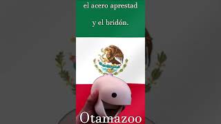 Himno Nacional Mexicano 🇲🇽  Otamatone amp Kazoo Cover  National Anthem of Mexico [upl. by Hasile]