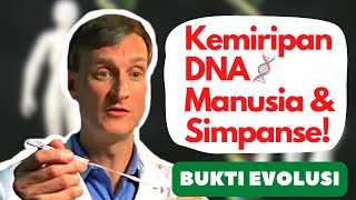 Evolusi Kemiripan DNA Manusia dan Simpanse [upl. by Ziagos]