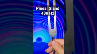 Pineal Gland Activation 480 Hz shorts pinealgland pinealglandactivation [upl. by Drahsir]