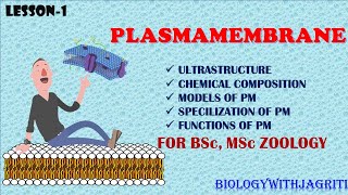 PLASMA MEMBRANE BSc Zoology1semBIOLOGYWITHJAGRITI MSc ZOOLOGYEASY EXPLANATION WITH ARRANGED NOTES [upl. by Asabi778]