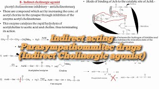 12Medicinal ChemistrySAR of Indirect Parasympathommitec drugs Indirect Cholinergic agonist [upl. by Llyrrad]