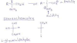 89 Amino Acids Introduction  Stereochemistry amp Nomenclature [upl. by Maloney]