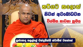 හරියට කලොත් නිවන් අවබෝධවන විශ්මිත භාවනා ක්‍රමය  Thalalle Chandakiththi Thero  Dharma Deshana [upl. by Gettings]