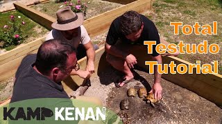 Testudo Tortoise Tutorial [upl. by Wilkinson]