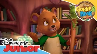 Goldie amp Bear  Whats Inside  Official Disney Junior Africa [upl. by Ylrehc]