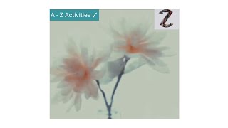 CREPE PAPER FLOWERSFLOWER Gorgeous Crepe Paper Decoration Ideas  Crepe Paper craft [upl. by Kajdan871]