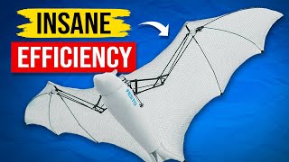 How Bionic Wings Are Reinventing Drones [upl. by Engle732]