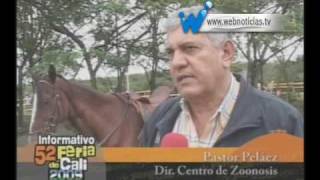 Preparativos Cabalgata feria de Cali 2009 [upl. by Worl]