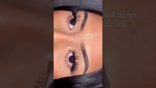 lashes youll never want to take off lashtutorial lovelashes makeup [upl. by Yarvis]