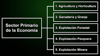 Sector Primario de la Economía 1 de 2 [upl. by Iuqcaj]