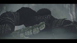 Cenobia and Argus  Shadow of the Colossus Walkthrough part 8 [upl. by Elegna]