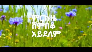 Merkuze shembeko aydelem Lyrics  ምርኩዜ ሸምበቆ አይደለም mezmur Lyrics lyrics [upl. by Ahcas]