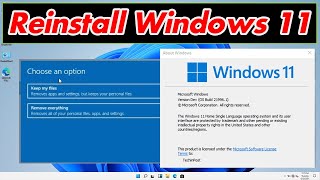 GUIDE How to Reinstall Windows 11 Very Easily amp Quickly Download [upl. by Ahseka]