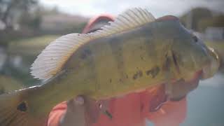 Montrezl Harrell Catches Fish with Monster Mike [upl. by Idnam]