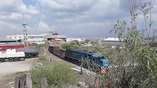 🇦🇷Trenes Argentina Cargas 9017👷‍♂️ [upl. by Wappes]