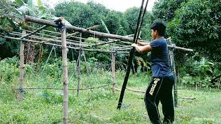 HOW TO MAKE CLIMBING SQUASH TRELLIS IN OUR MINI GARDEN without using money [upl. by Shoshanna119]