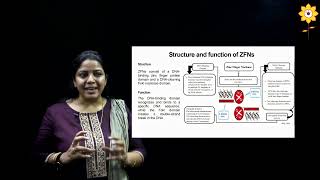 Gene Editing by Zinc Finger Nucleases  L2  Prof Suparna Deepak  PCACS [upl. by Silbahc]