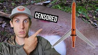 Deer Hunting with WORLDS BIGGEST BROADHEAD WOW [upl. by Anhoj]