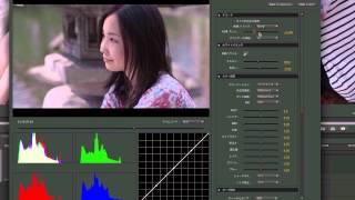Premiere ProでのRaw現像2（ホワイトバランスの調整） [upl. by Locin30]
