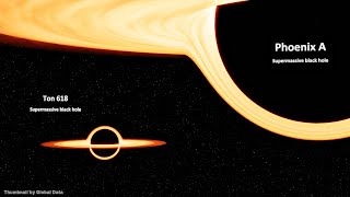 Ton 618 vs phoenix A Black Hole Size Comparison  3d Animation Comparison [upl. by Menides597]