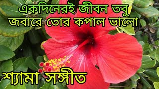 একদিনেরই জীবন তবু জবা রে তোর কপাল ভালোAkdiner e jibon tobu joba ra tor kopal valo [upl. by Bartko]