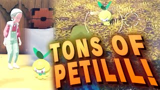 Where To Find Petilil Location  The Search for Bitter Leaves Side Quest  Pokemon Legends Arceus [upl. by Ecienaj]