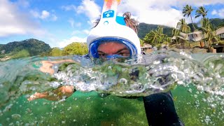 Seychellen Schnorcheln 🤿 Moyenne Insel und St Anne Marine Park unterwasser welt riesen schildkröten [upl. by Shoemaker]