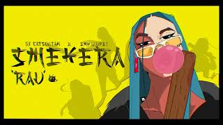 DJ CATSULTAN x EMY ALUPEI  Smekera Rau  Official Audio [upl. by Delanie]