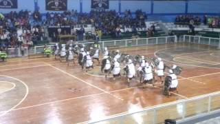 Danza los Halcones [upl. by Latterll]