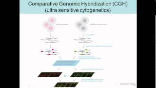 comparitive genomic hybridization [upl. by Teyut]