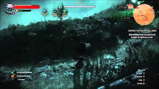 Witcher 3  Contract The Phantom of Eldberg [upl. by Ahsilahs]