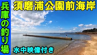 【最新】須磨浦公園前の海岸の釣り場を徹底解剖！狙える魚種を紹介！ [upl. by Curnin]