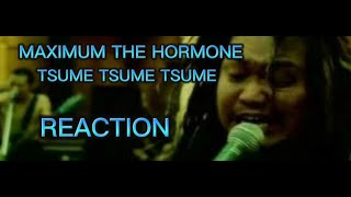 MAXIMUM THE HORMONE TSUME TSUME TSUME REACTION reaction metal reactionvideo [upl. by Etnoek]