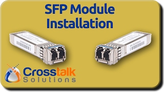 SFP Module Installation [upl. by Crispen]