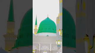 Dar e nabi par ye umr bite 💚  shorts viral trending islamicvideo [upl. by Emeric887]