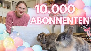 Meilenstein 10000 Abonntenten Bluterguss Intelligenzspielzeug für Kaninchen bestellt  Vlog [upl. by Forest]