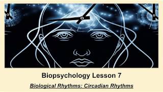 ALevel Psychology AQA Biopsychology  Circadian Rhythms [upl. by Isadore]