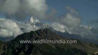 Nilkanth Hathi and Ghora Himalayan peaks seen from Kuari Pass [upl. by Cappello]