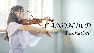 Canon in D Pachelbel AYAKO ISHIKAWA パッヘルベルのカノン 石川綾子 [upl. by Denis850]