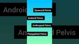 Types of Pelvis l Pelvis Types l Female Pelvis pelvistypesofpelvisobgynmedicalnorcetnursing [upl. by Peppi]