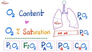 Oxygen Content  Oxygen Saturation SaO2   Oxygen Partial Pressure  Respiratory Physiology [upl. by Hallutama17]