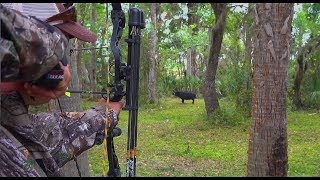 Wild Boar Archery Spot n stalk Catch Clean Cook Tasty Tuesday [upl. by Romonda]