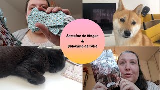 Reading Vlog  Semaine de Dingue et Unboxing de Folie [upl. by Yngiram]